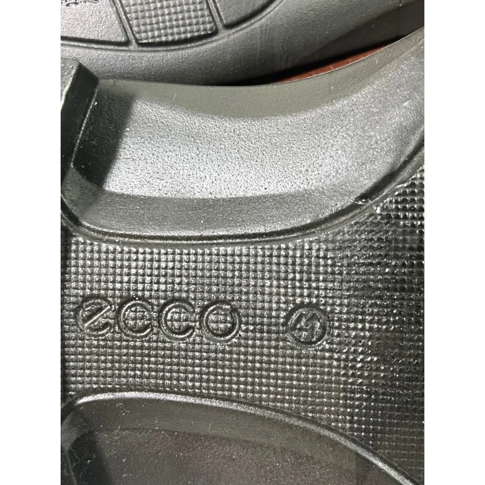 Ecco elevate your